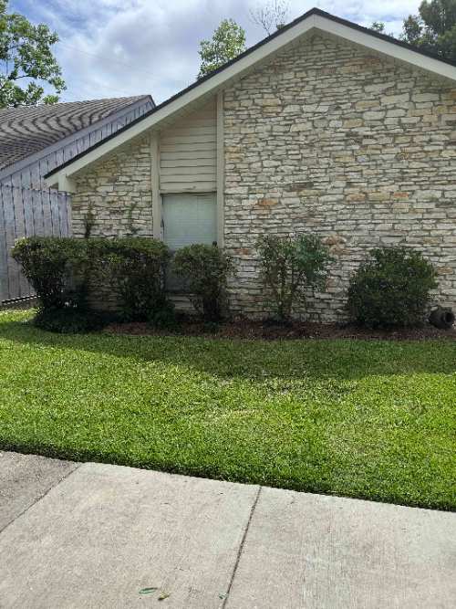 Shaped hedges and trimmed shrubs along the front of the home.