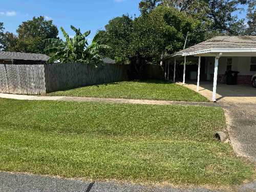 Weekly mowed and edged backyard lawn with green grass.